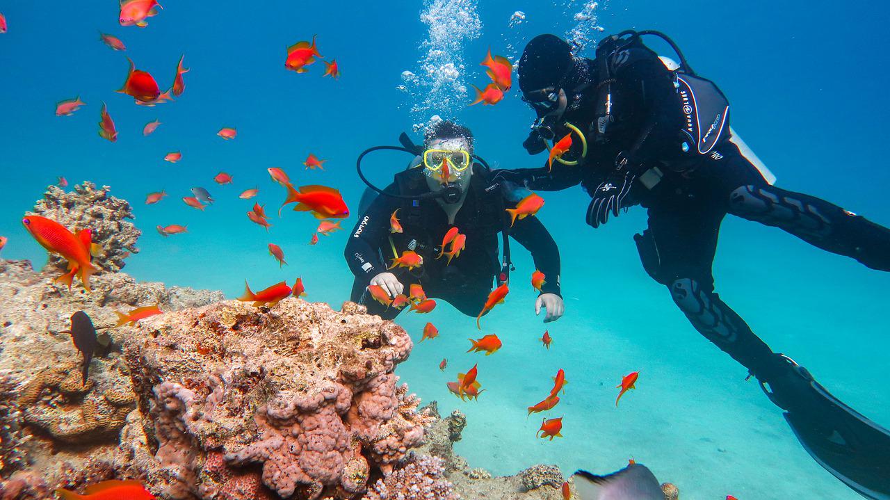 scuba diving cruise maldives